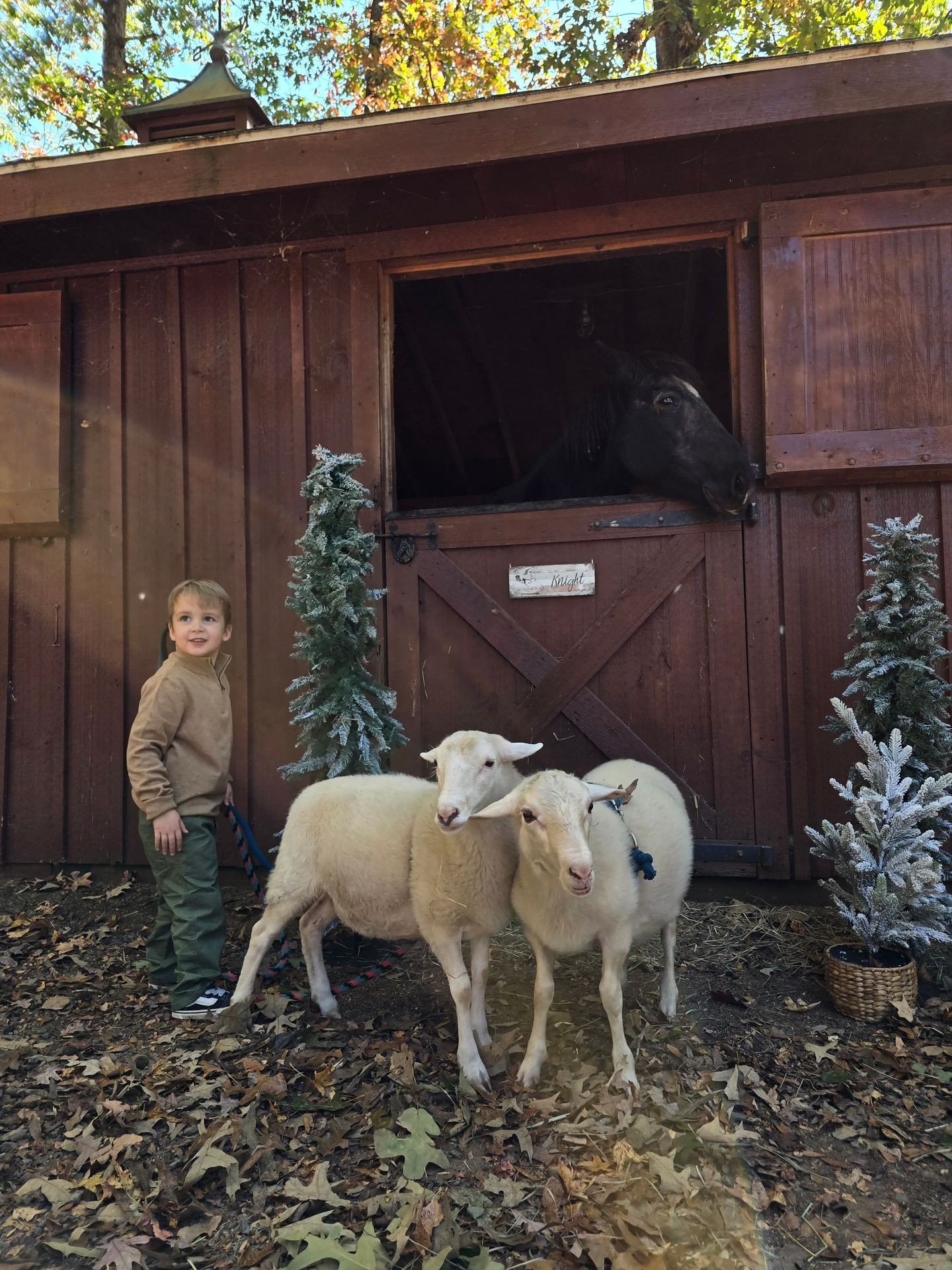 Frank & Lily Gilmore