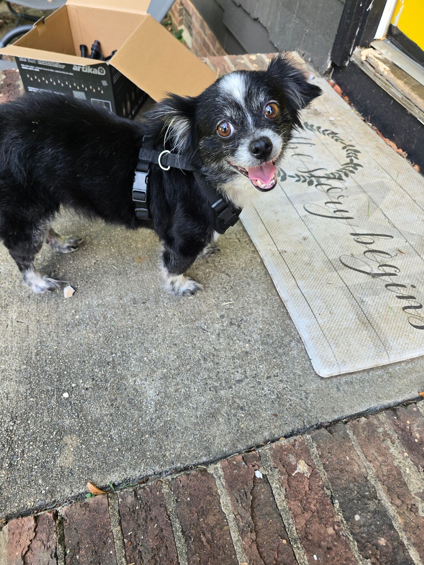 Dottie Rae