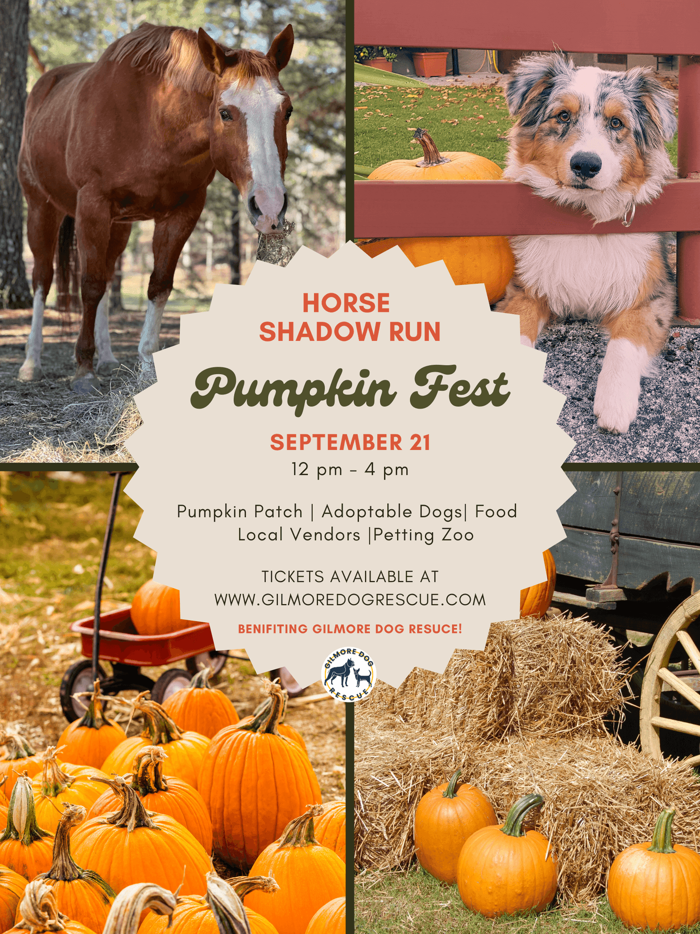 Pumpkin Fest!